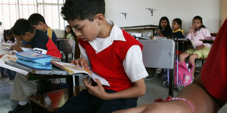 Nuevo plan de estudios pone en riesgo educación pública