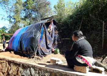 En 15 estados se concentra la mayor cantidad de personas en pobreza extrema