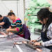 México pierde 2,168 empleos formales en julio