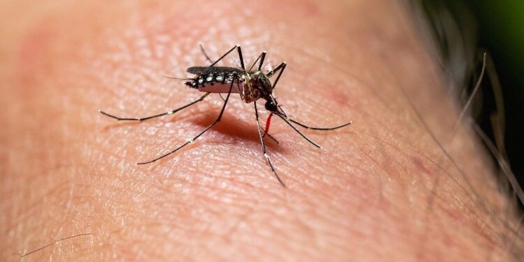 Se agrava crisis por dengue en México