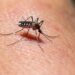 Se agrava crisis por dengue en México