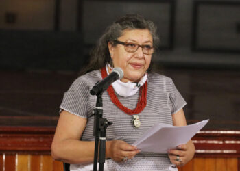 ONU y activistas cuestionan designación de nueva titular de la CNB