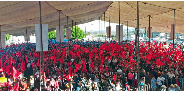 ¡Cuarenta años en Balcones!