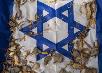 Terrorismo sionista, cuando el concepto encubre la realidad