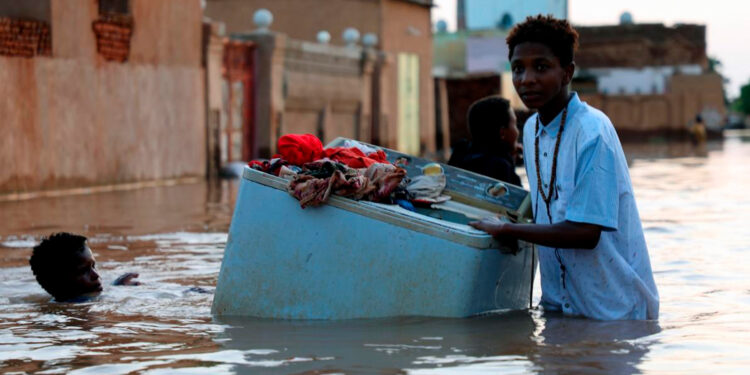 Ricos, contaminantes… y mortales