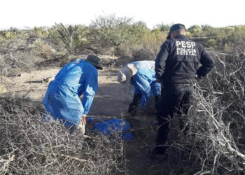 Atrocidades incrementan: hubo 6 mil 378 crímenes de extrema violencia en 2023