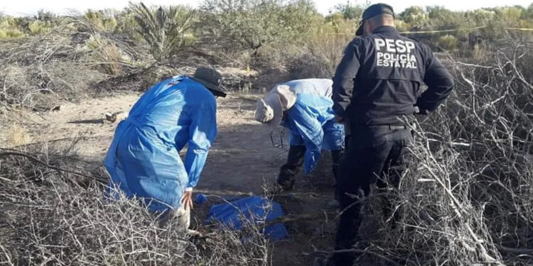 Atrocidades incrementan: hubo 6 mil 378 crímenes de extrema violencia en 2023