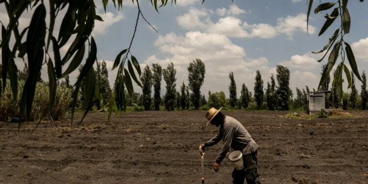 Crisis agrícola y dependencia alimentaria