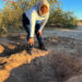 Madres buscadoras encuentran 30 fosas clandestinas en Sonora