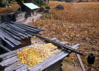 Aumenta la dependencia alimentaria