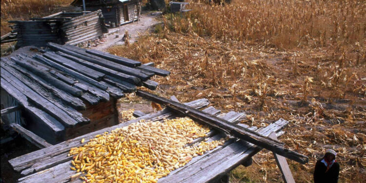 Aumenta la dependencia alimentaria