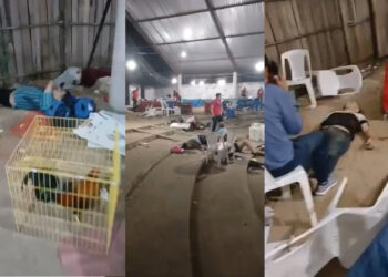 Otra masacre en Guerrero: matan a cinco personas y dejan 20 heridos en palenque de Petatlán