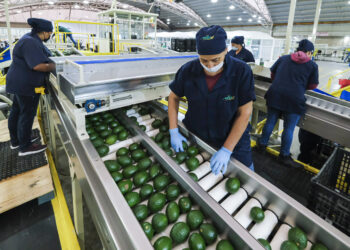 Incrementa en 7.6% mexicanos que necesitan dos empleos para sobrevivir