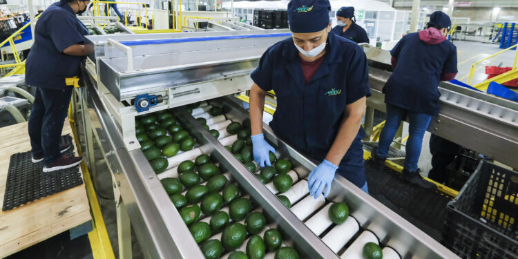 Incrementa en 7.6% mexicanos que necesitan dos empleos para sobrevivir