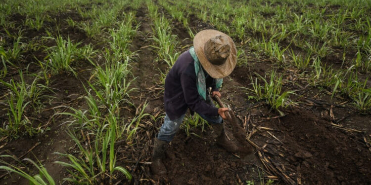Urgen agricultores a candidatos presidenciales un diálogo para abordar retos del campo