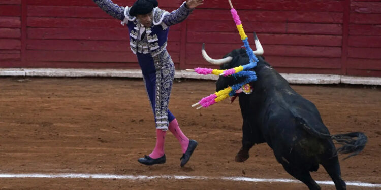 Regresan las corridas de toros a la Plaza México